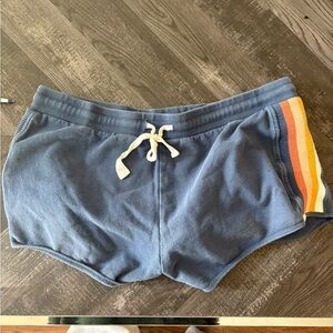 Rip Curl Slate Blue Retro Stripe Beach or Summer Casual Shorts